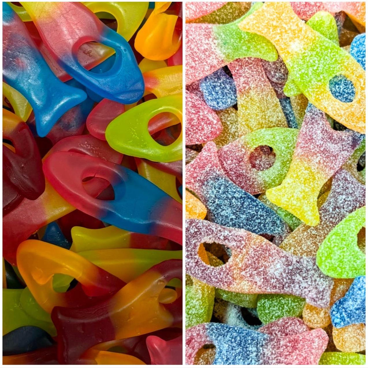 Funky Fish – Bitter Sweet Uk